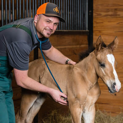 Veterinarian in Merlin, OR - Services