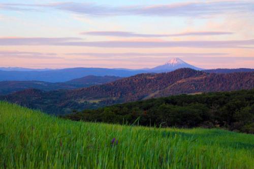 Oregon landscape